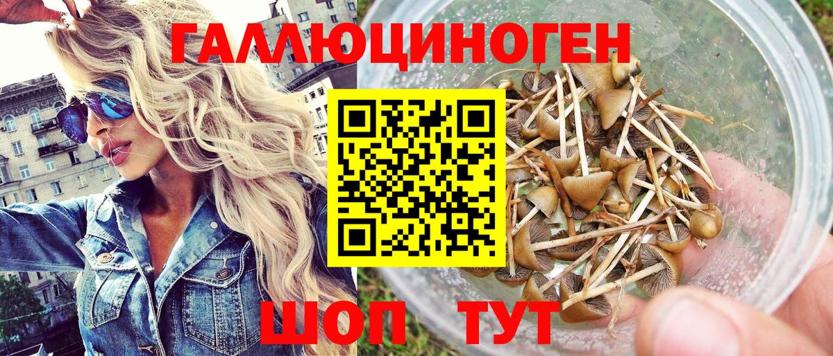 Галлюциногенные грибы прущие грибы  Галлюциногенные грибы Psilocybine cubensis  Сафоново  что такое наркотик  Вход с VPN 
