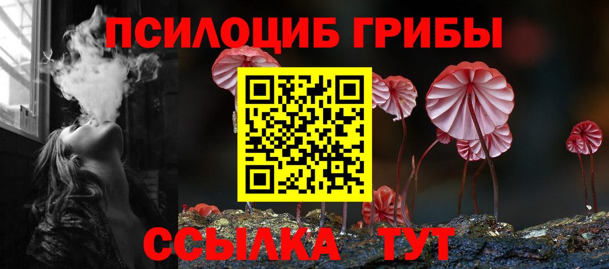 Псилоцибиновые грибы мухоморы Сафоново